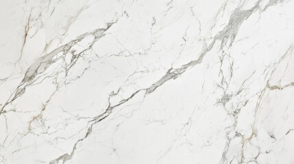 Obraz premium White and Grey Marble Texture Background
