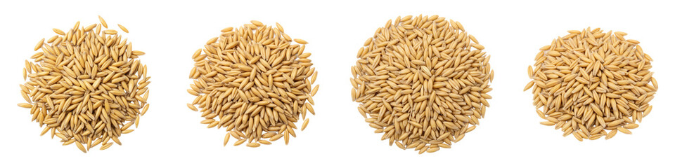 Obraz premium Set of Pile of Oat Grains