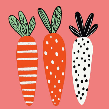 A playful and modern digital illustration of three stylized carrots with unique decorative patterns