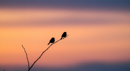 Obraz premium Sunset silhouette of two birds sitting on a branch against a gradient sky, birds, branches, silhouettes