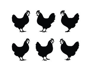 Fototapeta premium Farmyard Hen Silhouette EPS Vector Template