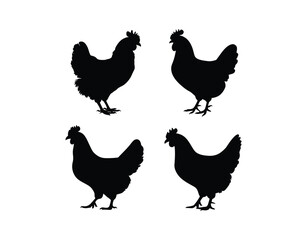Hand Drawn Hen Silhouette Vector Template