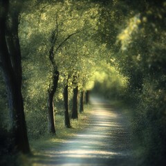 Obraz premium Sunlit Path Through a Verdant Forest Canopy