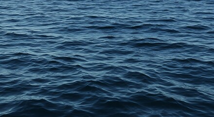 Fototapeta premium Deep Blue Sea: A Tranquil Ocean