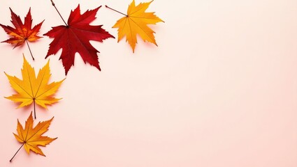 Fototapeta premium Multicolored autumn leaves arranged on a pink backdrop. There is space for text nearby.