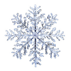Delicate winter snowflakes in crisp white, capturing the beauty of snowfall, isolated on transparent background 