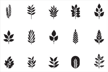 Fototapeta premium Organic Wheat Ears Vector Bundle