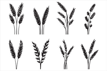 Organic Wheat Ears Vector Bundle