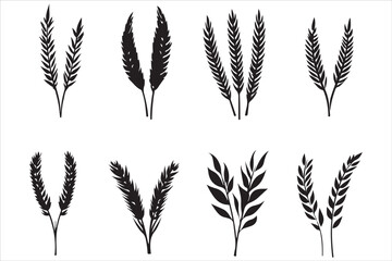 Hand-Drawn Wheat Ears Vector Graphics