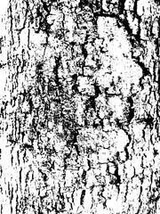 black and white grunge background