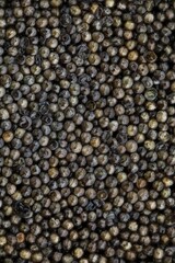 black caviar background, close-up view