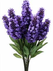 Fototapeta premium Vibrant Purple Flowers with Green Leaves in a Beautiful Arrangement for Decoration and Design