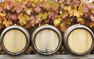 Autumn Vineyard Wine Barrels, Three Oak Barrels Against Colorful Fall Leaves