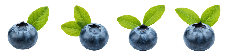 Obraz premium Set of Single Blueberry with Leaf