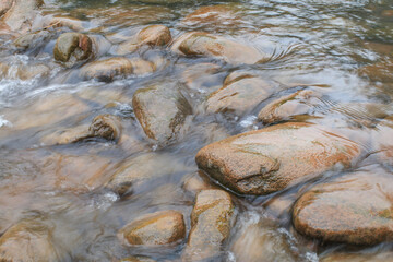 Water flowing over algae covered rocks at the mountain river through forest in summer. Nature background.
