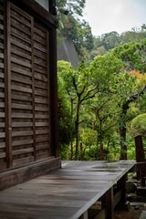 鎌倉2410Y　光触寺10　銀杏