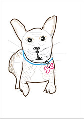 A drawing of a French bulldog, black and white line drawing, pencil drawing, cartoon from illustration. The background of the white picture.