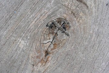 Close-up view of a weathered wooden surface texture. Old wood texture background.