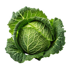 Savoy Cabbage: Fresh & Green on transparent background