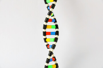 One DNA structure model on white background