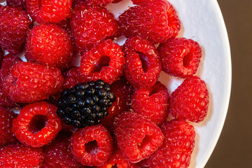 Close-up image of juicy raspberries with water droplets and a single blackberry in the middle,...