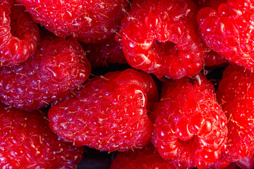 Macro shot of freshly washed juicy raspberries covered with tiny water drops emphasizing their...