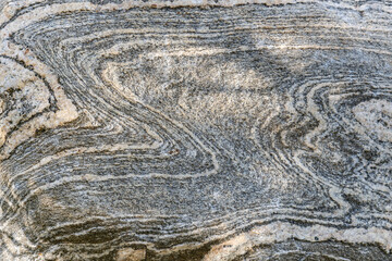 Gneiss is a common and widely distributed type of metamorphic rock. Jenny Lake, Grand Teton...