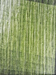green fabric texture background