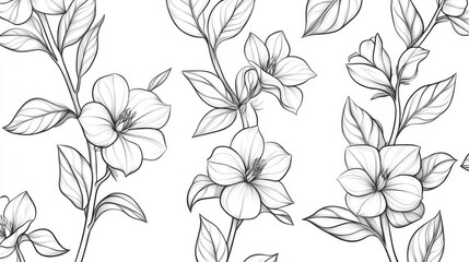 Black and White Line Art Floral Pattern