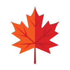 autumn maple leaf vector 