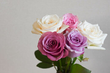 カラフルなばら