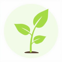 A green leafy plant with a stem and a small root