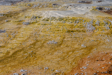 West Thumb Geyser Basin, Yellowstone Lake / Yellowstone National Park. Wyoming

