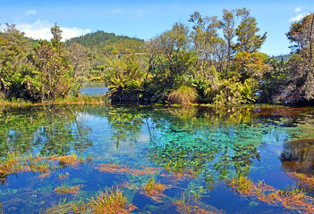 Fototapeta premium PuPu Springs Near Takaka in Golden Bay, New Zealand.