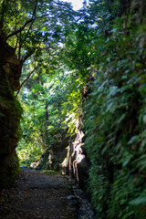 Obraz premium 鎌倉2410Y 朝夷奈9 切り通し