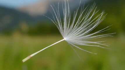 Close-up of dandelion seed floating in nature with soft focus background