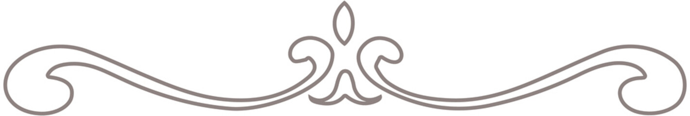 Elegant Divider icon