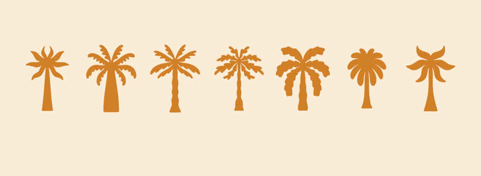 logo summer palm template set, tropical hand drawn illustrations palms, tropical concept, collection palm trees boho elements.