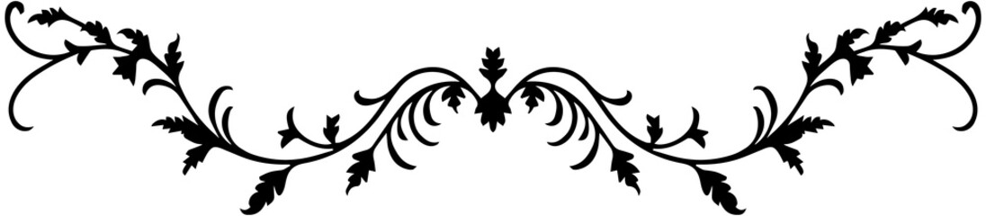 Vintage Elegant Divider Border