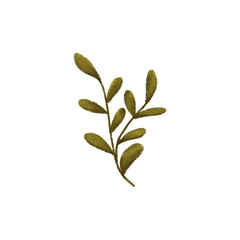 green leaves isolated on white handdrawing texture illustration decor png element