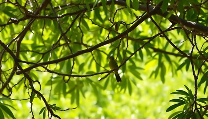 Bird perched amidst a vibrant green canopy of leaves, creating a natural scene