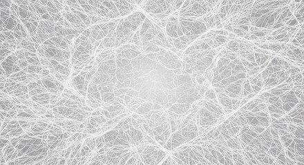 Abstract Grey Background with Intricate White Veined Texture Network Design Web Pattern