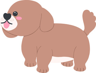 Shih Tzu Dog Cartoon Set in Cute Flat Design with Different Poses and Expressions