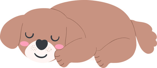 Shih Tzu Dog Cartoon Set in Cute Flat Design with Different Poses and Expressions