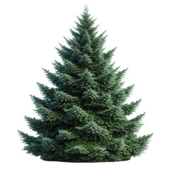Fototapeta premium A green pine tree isolated on a transparent background, png