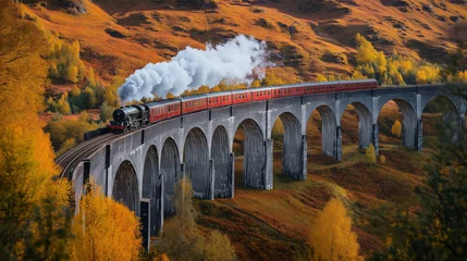 Wall murals Autumn Landscape with Steam Train and Historic Railway Bridge.
