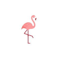 Minimal Flamingo Illustration