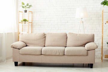 Minimalist style. Modern living room with sofa, plants and window in daylight, free space