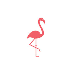 Fototapeta premium Elegant Flamingo