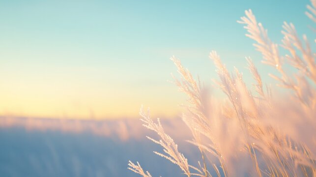 frosty meadow at dawn with sunlight casting long shadows and frost crystals sparkling in detail